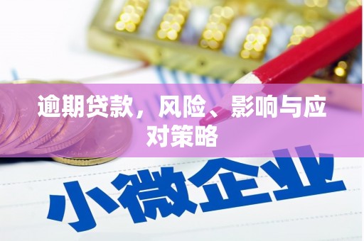 海州逾期贷款，风险、影响与应对策略