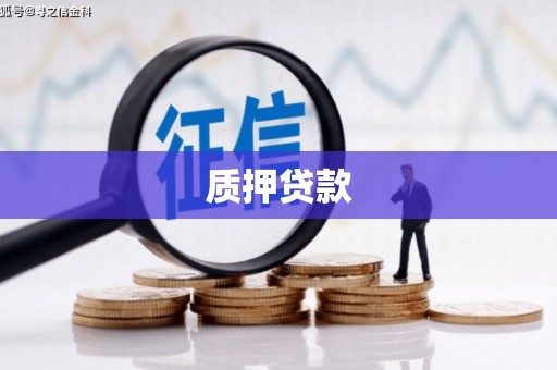 海州质押贷款
