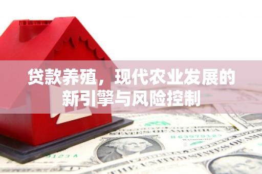 海州贷款养殖，现代农业发展的新引擎与风险控制