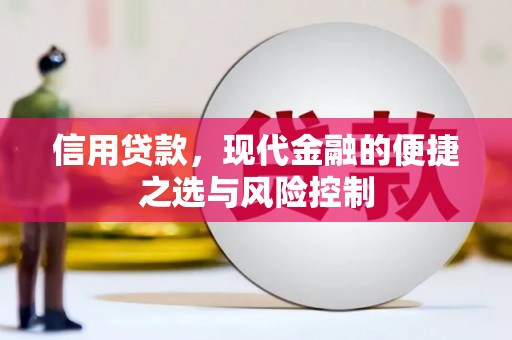 海州信用贷款，现代金融的便捷之选与风险控制