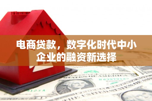 海州电商贷款，数字化时代中小企业的融资新选择