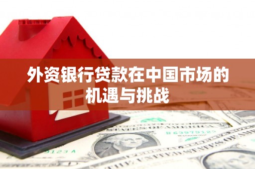 海州外资银行贷款在中国市场的机遇与挑战