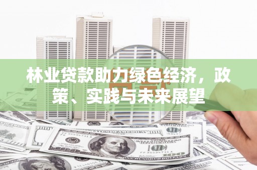 海州林业贷款助力绿色经济，政策、实践与未来展望