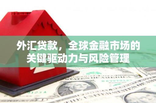 海州外汇贷款，全球金融市场的关键驱动力与风险管理