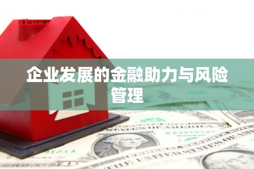 海州企业发展的金融助力与风险管理