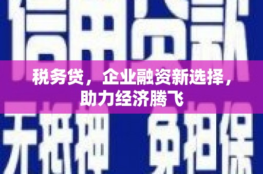 海州税务贷，企业融资新选择，助力经济腾飞