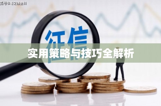 海州实用策略与技巧全解析