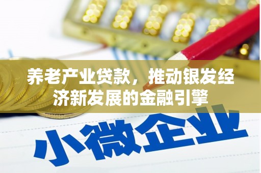 海州养老产业贷款，推动银发经济新发展的金融引擎