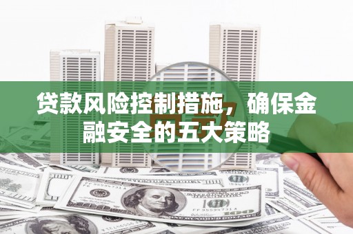 海州贷款风险控制措施，确保金融安全的五大策略
