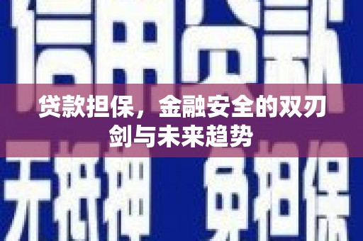 海州贷款担保，金融安全的双刃剑与未来趋势