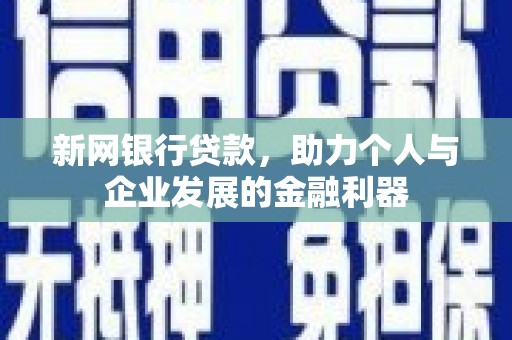 海州新网银行贷款，助力个人与企业发展的金融利器