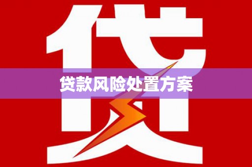 海州贷款风险处置方案