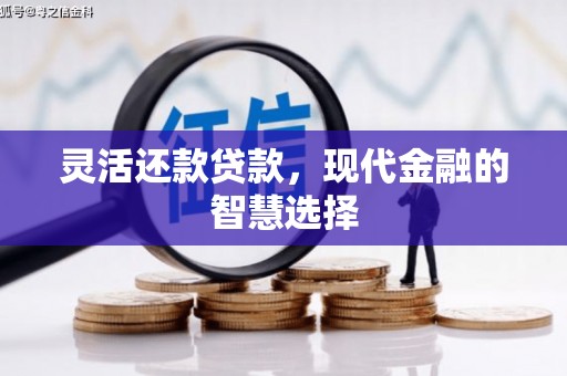 海州灵活还款贷款，现代金融的智慧选择