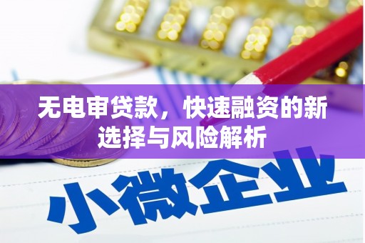海州无电审贷款，快速融资的新选择与风险解析