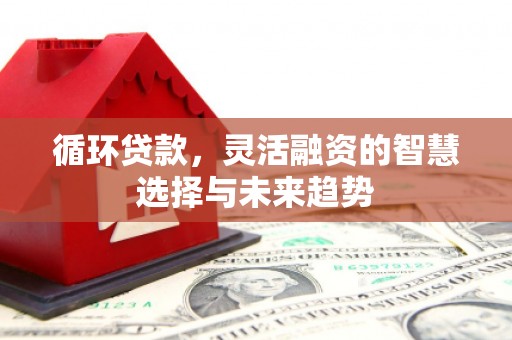 海州循环贷款，灵活融资的智慧选择与未来趋势