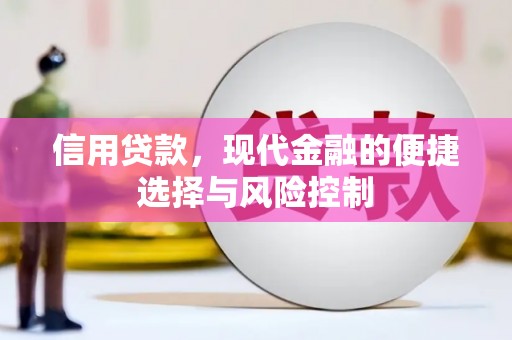 海州信用贷款，现代金融的便捷选择与风险控制