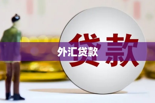 海州外汇贷款
