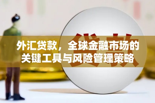 海州外汇贷款，全球金融市场的关键工具与风险管理策略