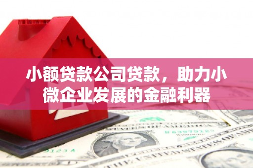 海州小额贷款公司贷款，助力小微企业发展的金融利器