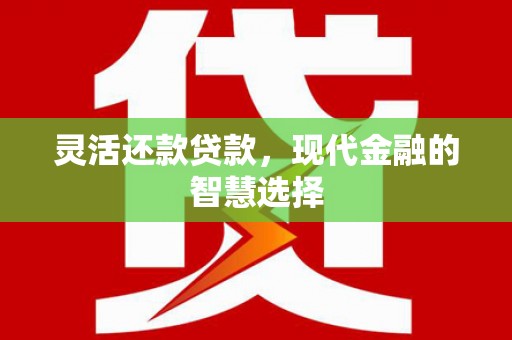 海州灵活还款贷款，现代金融的智慧选择