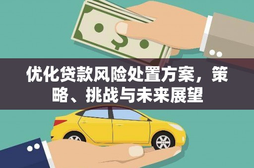 海州优化贷款风险处置方案，策略、挑战与未来展望