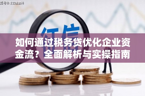 海州如何通过税务贷优化企业资金流？全面解析与实操指南