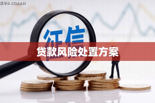 海州贷款风险处置方案
