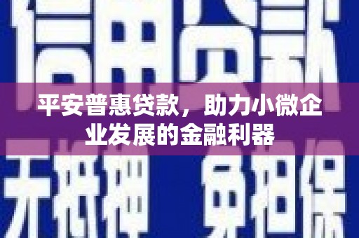 海州平安普惠贷款，助力小微企业发展的金融利器
