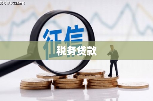海州税务贷款