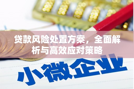 海州贷款风险处置方案，全面解析与高效应对策略