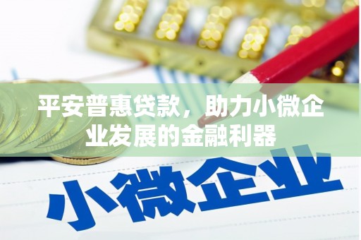 海州平安普惠贷款，助力小微企业发展的金融利器