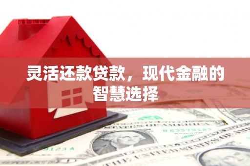 海州灵活还款贷款，现代金融的智慧选择