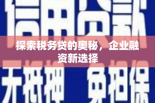 海州探索税务贷的奥秘，企业融资新选择