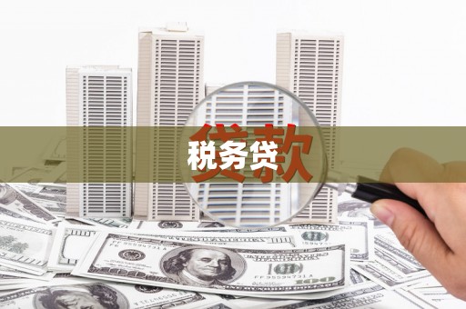 海州税务贷