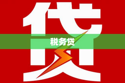 海州税务贷