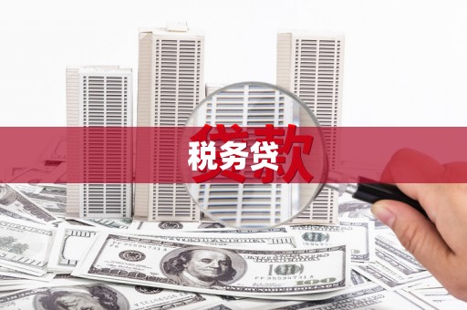海州税务贷