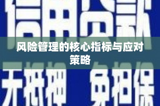 海州风险管理的核心指标与应对策略