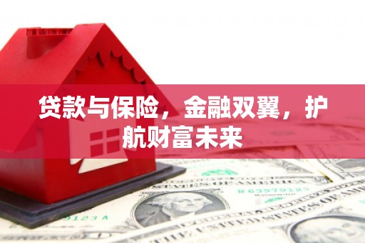 海州贷款与保险，金融双翼，护航财富未来