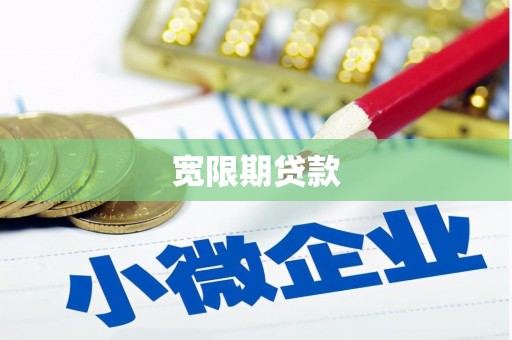海州宽限期贷款