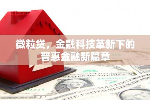 海州微粒贷，金融科技革新下的普惠金融新篇章
