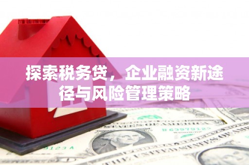 海州探索税务贷，企业融资新途径与风险管理策略
