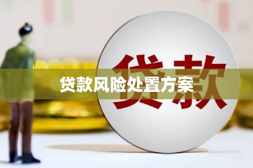 海州贷款风险处置方案