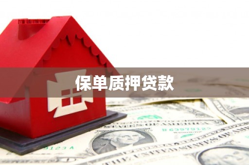 海州保单质押贷款