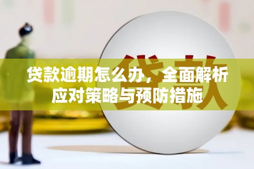 海州贷款逾期怎么办，全面解析应对策略与预防措施