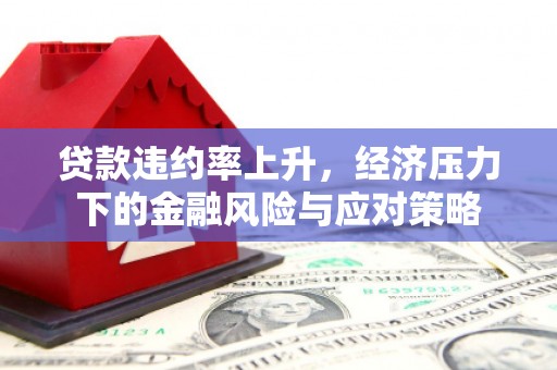 海州贷款违约率上升，经济压力下的金融风险与应对策略