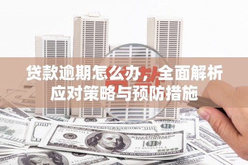 海州贷款逾期怎么办，全面解析应对策略与预防措施