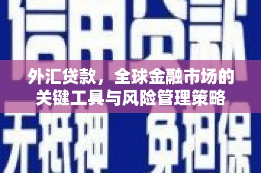 海州外汇贷款，全球金融市场的关键工具与风险管理策略