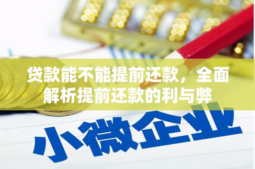 海州贷款能不能提前还款，全面解析提前还款的利与弊