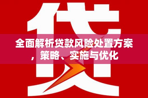 海州全面解析贷款风险处置方案，策略、实施与优化