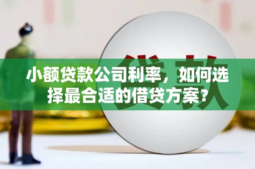海州小额贷款公司利率，如何选择最合适的借贷方案？